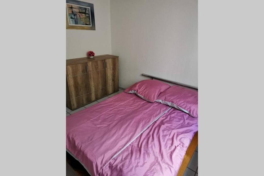 Ferienwohnung In Singen Am Hohentwiel - Seenah Экстерьер фото