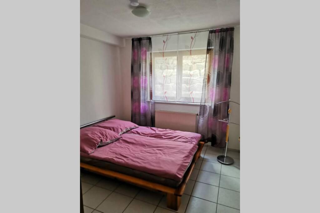Ferienwohnung In Singen Am Hohentwiel - Seenah Экстерьер фото