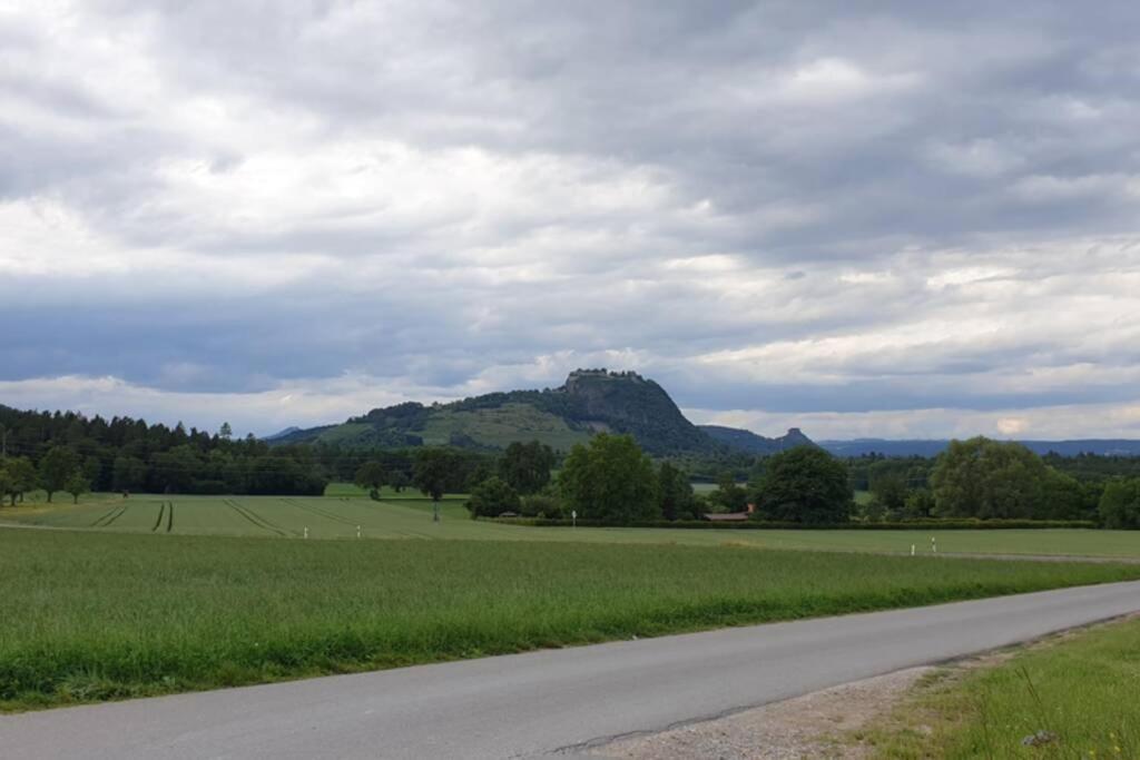 Ferienwohnung In Singen Am Hohentwiel - Seenah Экстерьер фото