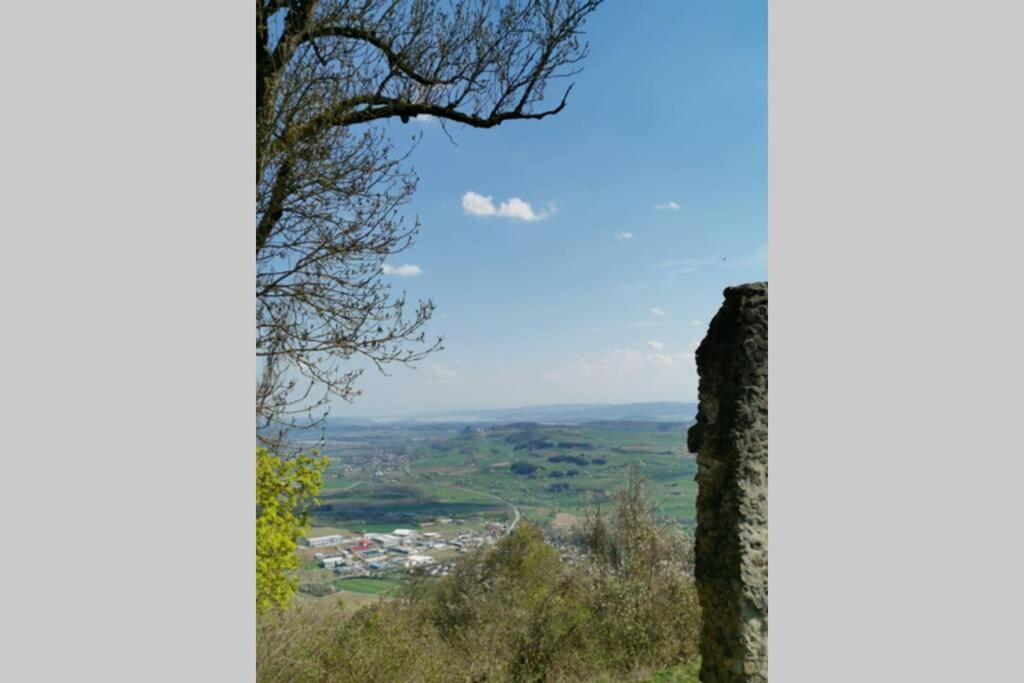 Ferienwohnung In Singen Am Hohentwiel - Seenah Экстерьер фото