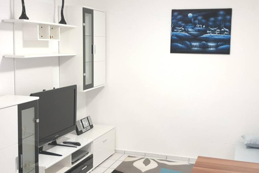 Ferienwohnung In Singen Am Hohentwiel - Seenah Экстерьер фото
