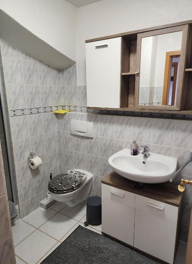 Ferienwohnung In Singen Am Hohentwiel - Seenah Экстерьер фото