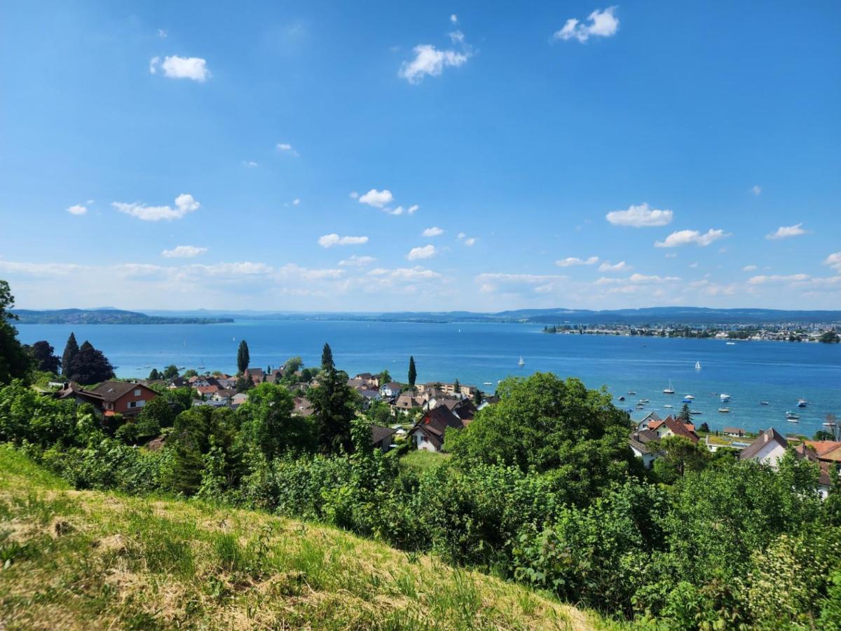 Ferienwohnung In Singen Am Hohentwiel - Seenah Экстерьер фото