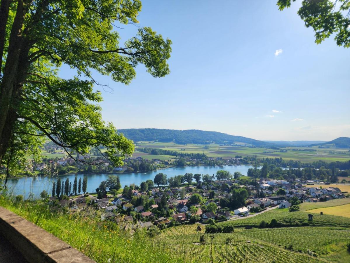 Ferienwohnung In Singen Am Hohentwiel - Seenah Экстерьер фото